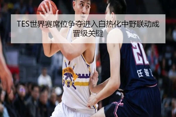 TES世界赛席位争夺进入白热化中野联动成晋级关键 - xingkong