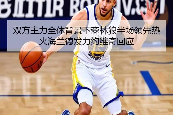 双方主力全休背景下森林狼半场领先热火海兰德发力约维奇回应 | xingkong